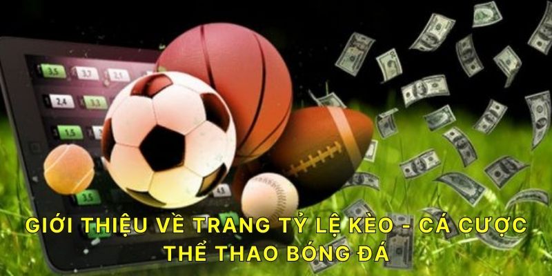 Giới thiệu về trang Tỷ lệ kèo - cá cược thể thao bóng đá